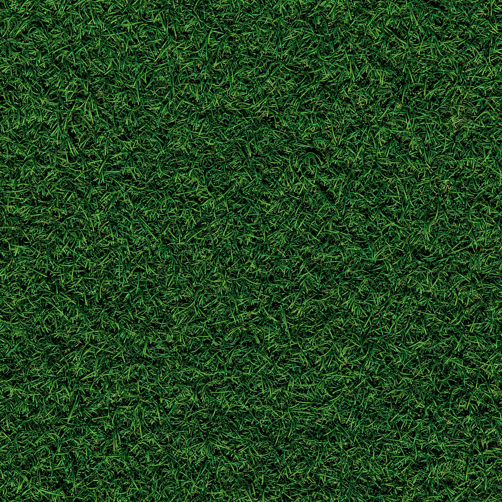 jake-nackos-C2PCa6DhlYE-unsplash